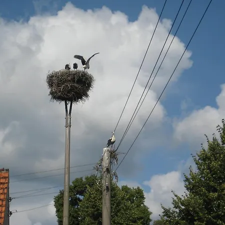 Storchenblick Schlepzig