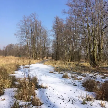 Apartamento Storchenblick *