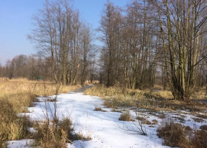 شقة Storchenblick *